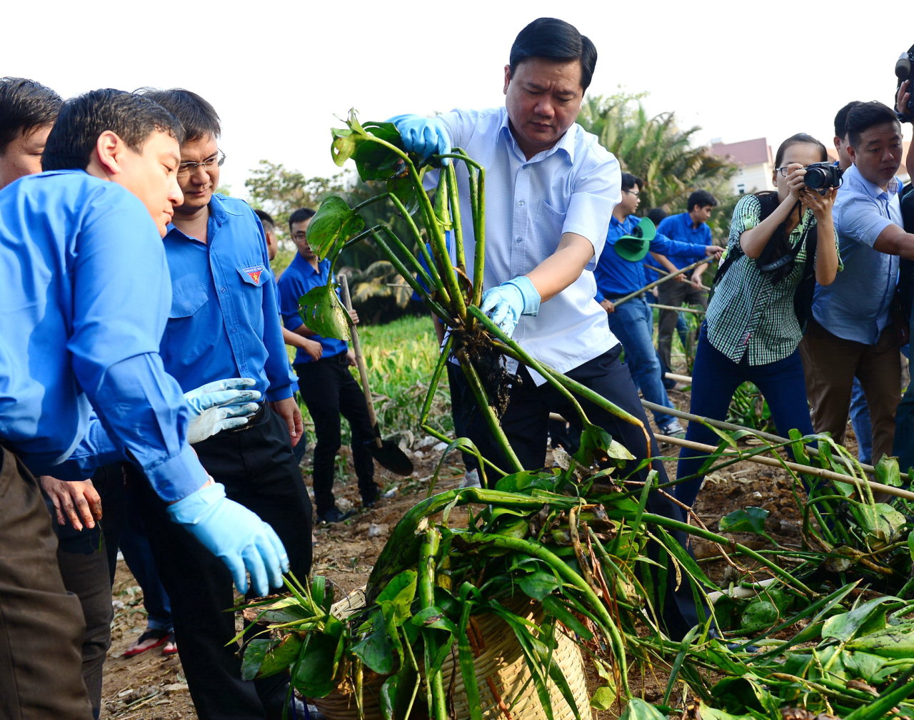 Tuổi trẻ TP.HCM đồng loạt ra quân Chủ nhật xanh