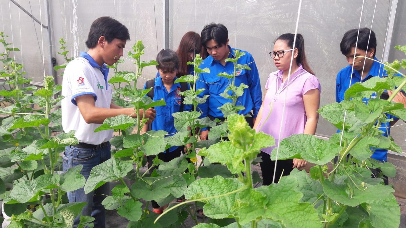 Hướng dẫn cho các bạn thanh niên và người dân địa phương xã Hiệp Phước (Nhà Bè) kỹ thuật trồng và chăm sóc dưa lưới - Ảnh: Quang Phương