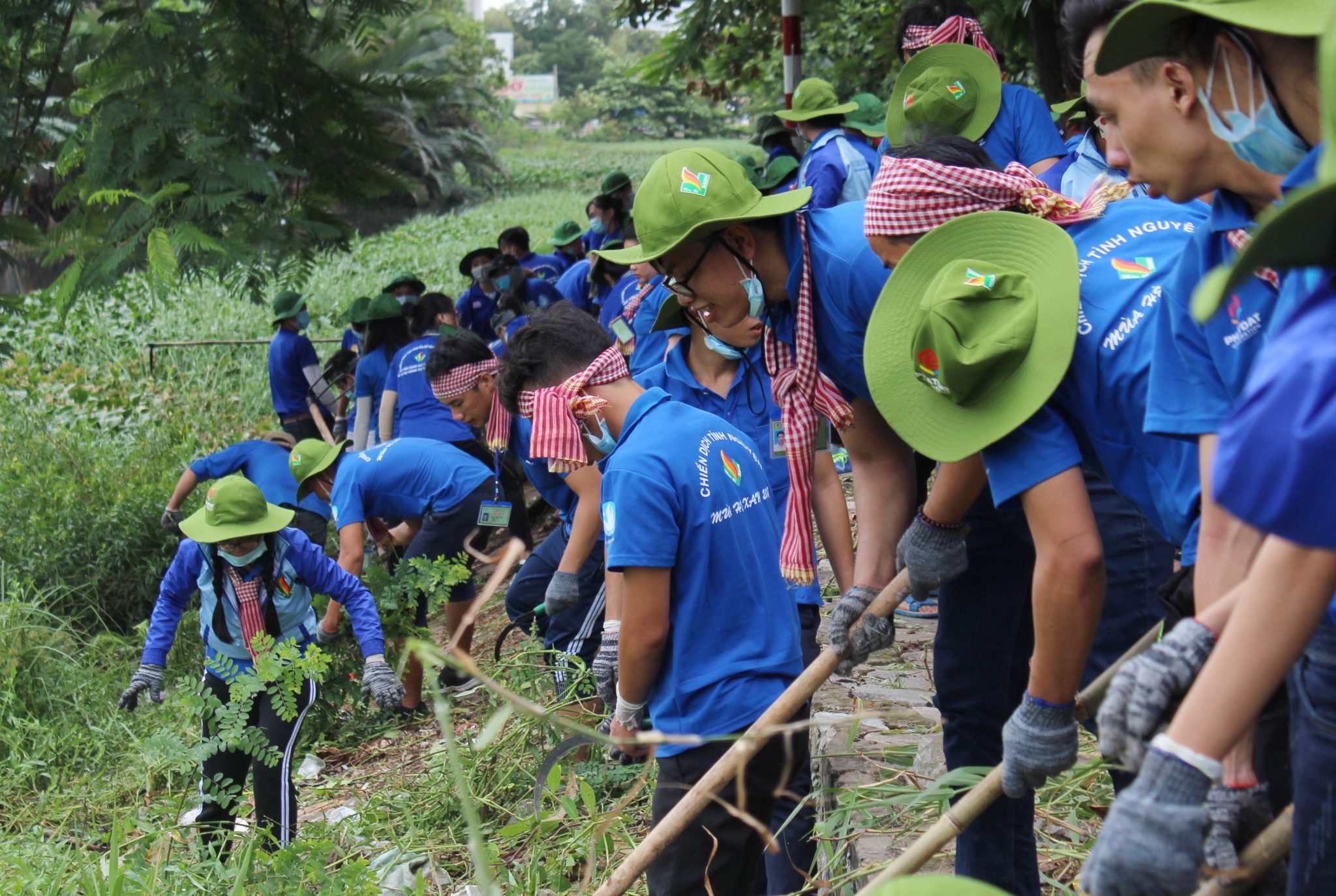 Chiến sĩ Mùa hè xanh 2017 đã ra mặt trận