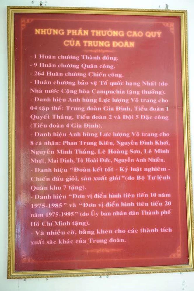 Ngày bận rộn của 336 Thanh niên tiên tiến làm theo lời Bác tại TPHCM - ảnh 16