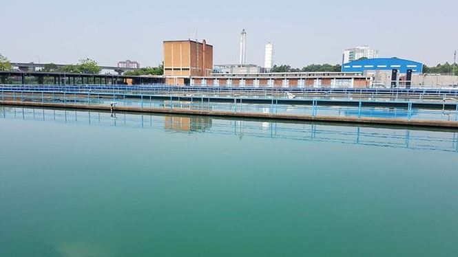 Ngày bận rộn của 336 Thanh niên tiên tiến làm theo lời Bác tại TPHCM - ảnh 19