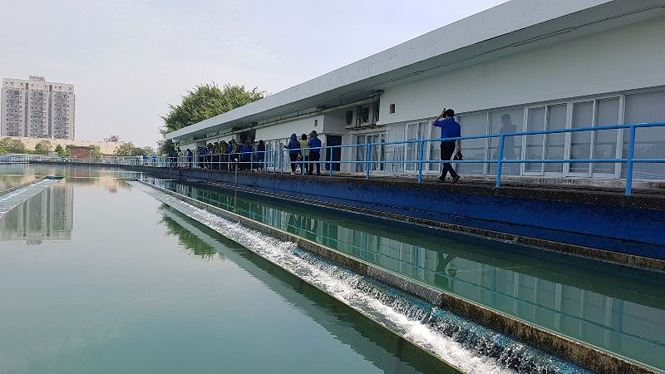 Ngày bận rộn của 336 Thanh niên tiên tiến làm theo lời Bác tại TPHCM - ảnh 21