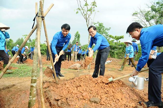 Ngày bận rộn của 336 Thanh niên tiên tiến làm theo lời Bác tại TPHCM - ảnh 27
