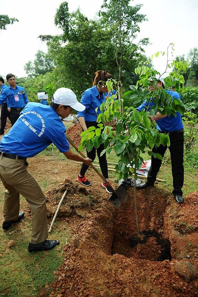Ngày bận rộn của 336 Thanh niên tiên tiến làm theo lời Bác tại TPHCM - ảnh 28