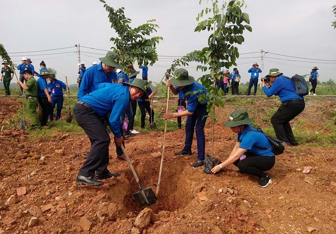 Ngày bận rộn của 336 Thanh niên tiên tiến làm theo lời Bác tại TPHCM - ảnh 30