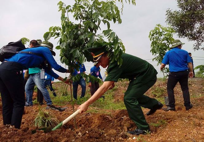 Ngày bận rộn của 336 Thanh niên tiên tiến làm theo lời Bác tại TPHCM - ảnh 31