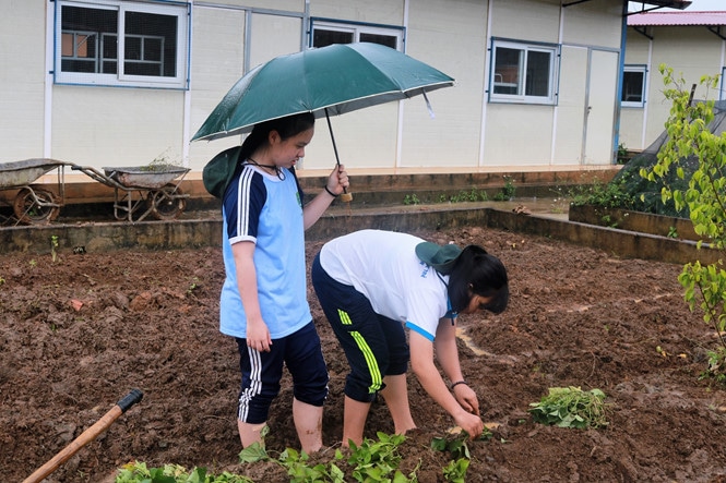 Những tình huống “khó đỡ” trong các chuyến tình nguyện - ảnh 5